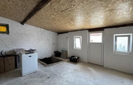 Casă pe parter, 3 dormitoare, 2 bucătării, 2 băi, 357 mp teren, Catargiu