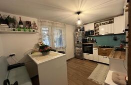 Casa 93 mp utili P+M in Damila, pe o suprafata de teren de 295mp 