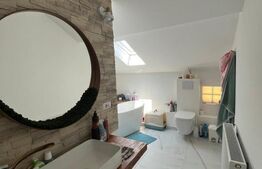 Casa 93 mp utili P+M in Damila, pe o suprafata de teren de 295mp 