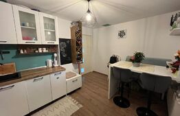 Casa 93 mp utili P+M in Damila, pe o suprafata de teren de 295mp 