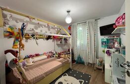 Casa 93 mp utili P+M in Damila, pe o suprafata de teren de 295mp 