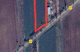 Teren intravilan 6000 mp in Bucovat 