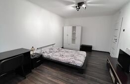 Garsoniera spatioasa de 40 mp, mobilata modern, zona 1 Mai 