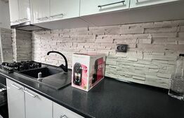 Garsoniera spatioasa de 40 mp, mobilata modern, zona 1 Mai 