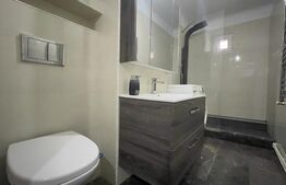 Garsoniera spatioasa de 40 mp, mobilata modern, zona 1 Mai 