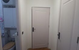 Apartament de 2 camere, semidecomandat, cartier Brazda, zona Simplon