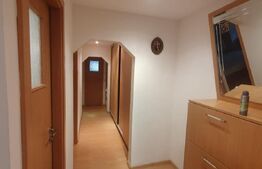 Apartament 3 camere, centrala, Rovine, zona Lidl