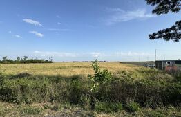 Teren intravilan 42.000 mp, deschidere 133 m la DE574, zona Aeroportului