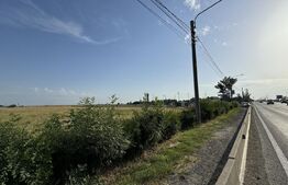 Teren intravilan 42.000 mp, deschidere 133 m la DE574, zona Aeroportului