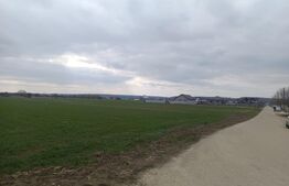 Teren 7.200 mp cu toate utilitățile la front asfaltat, Măn. Jitianu, Braniște