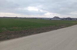 Teren 7.200 mp cu toate utilitățile la front asfaltat, Măn. Jitianu, Braniște