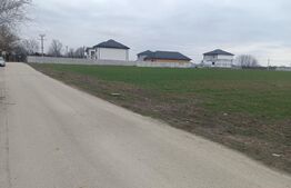 Teren 7.200 mp cu toate utilitățile la front asfaltat, Măn. Jitianu, Braniște