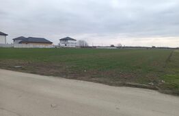 Teren 7.200 mp cu toate utilitățile la front asfaltat, Măn. Jitianu, Braniște