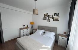 Apartament cu 2 camere, decomandat, cartier Damila