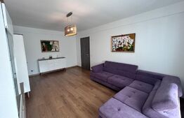 Apartament cu 2 camere, decomandat, cartier Damila