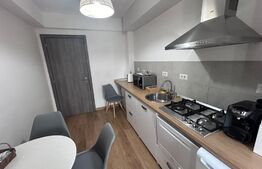 Apartament cu 2 camere, decomandat, cartier Damila