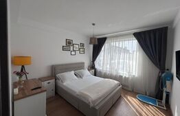 Apartament cu 2 camere, decomandat, cartier Damila