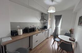 Apartament cu 2 camere, decomandat, cartier Damila