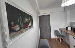 Apartament cu 2 camere, decomandat, cartier Damila