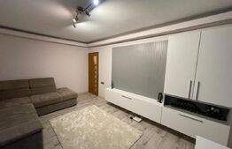 Apartament cu 2 camere, centrală, AC, Calea Severinului