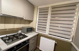 Apartament cu 2 camere, centrală, AC, Calea Severinului