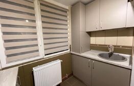 Apartament cu 2 camere, centrală, AC, Calea Severinului