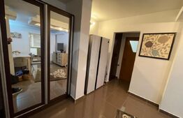 Apartament cu 2 camere, centrală, AC, Calea Severinului