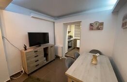 Apartament cu 2 camere, centrală, AC, Calea Severinului