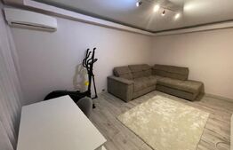 Apartament cu 2 camere, centrală, AC, Calea Severinului