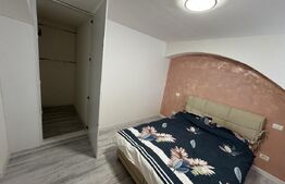 Apartament 2 camere, semidecomandat, curte 50mp Zona Casa Studentilor 