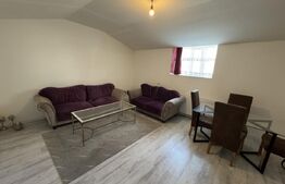 Apartament 2 camere, semidecomandat, curte 50mp Zona Casa Studentilor 