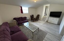 Apartament 2 camere, semidecomandat, curte 50mp Zona Casa Studentilor 