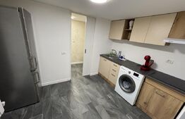 Apartament 2 camere, semidecomandat, curte 50mp Zona Casa Studentilor 