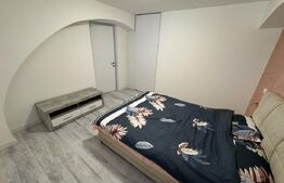 Apartament 2 camere, semidecomandat, curte 50mp Zona Casa Studentilor 