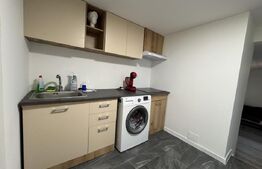 Apartament 2 camere, semidecomandat, curte 50mp Zona Casa Studentilor 