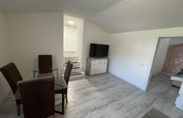 Apartament 2 camere, semidecomandat, curte 50mp Zona Casa Studentilor 