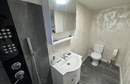 Apartament 2 camere, semidecomandat, curte 50mp Zona Casa Studentilor 