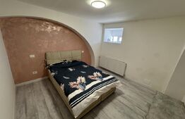 Apartament 2 camere, semidecomandat, curte 50mp Zona Casa Studentilor 