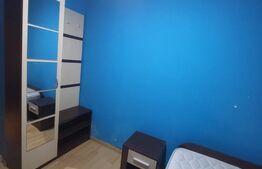 Camera de Camin, 10mp, zona Profi Valea Rosie