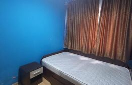 Camera de Camin, 10mp, zona Profi Valea Rosie