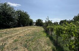 Proprietate centrala, teren 999 mp + casa,  zona Piata Mare