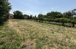 Proprietate centrala, teren 999 mp + casa,  zona Piata Mare