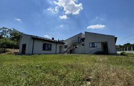 REDUCERE! Casă pe parter, 223 mp utili, 1.604 mp teren, dublă deschidere, Leu