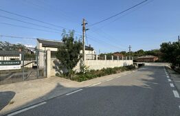 REDUCERE! Casă pe parter, 223 mp utili, 1.604 mp teren, dublă deschidere, Leu