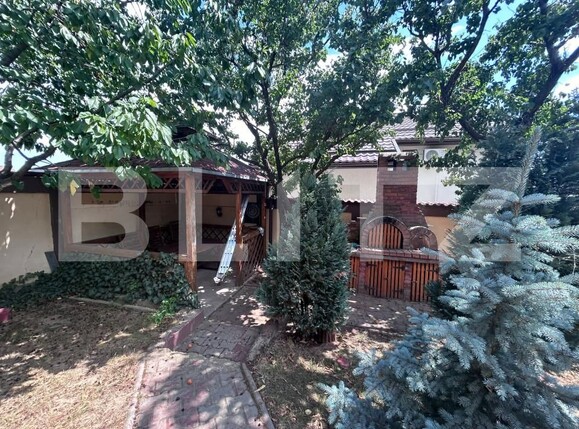 Casa de închiriat 5 camere Plaiul Vulcănești - 153995CI | BLITZ Craiova | Poza16