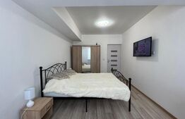 Apartament cu 2 camere, la prima închiriere, etaj 1, cartier Cornițoiu