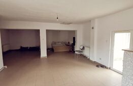 Casa renovata cu spatiu comercial stradal, 145 mp utili si 450 mp teren,Braniste