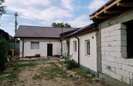 Casa renovata cu spatiu comercial stradal, 145 mp utili si 450 mp teren,Braniste