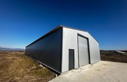 Hala 480 mp si 2000 mp teren, zona Preajba