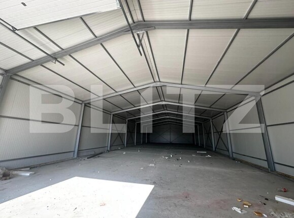 Spațiu industrial de închiriat Preajba - 154155SII | BLITZ Craiova | Poza6